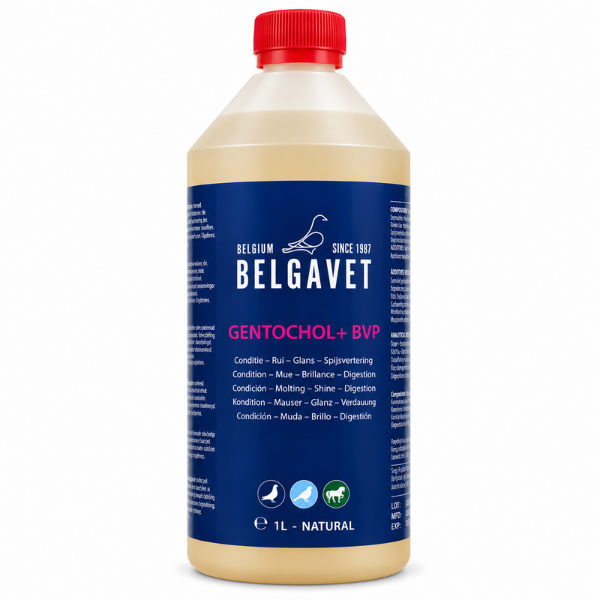 BELGAVET GENTOCHOL 1 LITRO