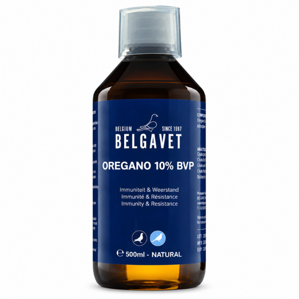 BELGAVET OREGANO 10% BVP 500 ML
