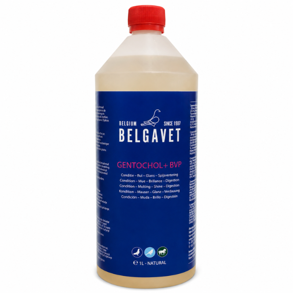 BELGAVET GENTOCHOL 1 LITRO