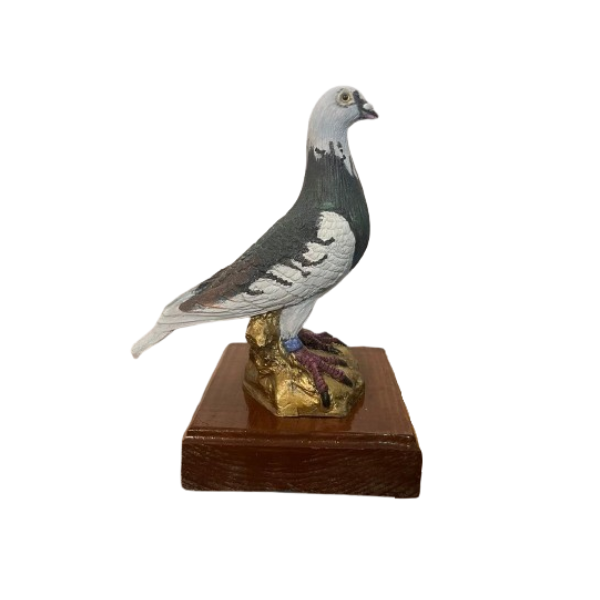 TROFEO PALOMA MOD.05