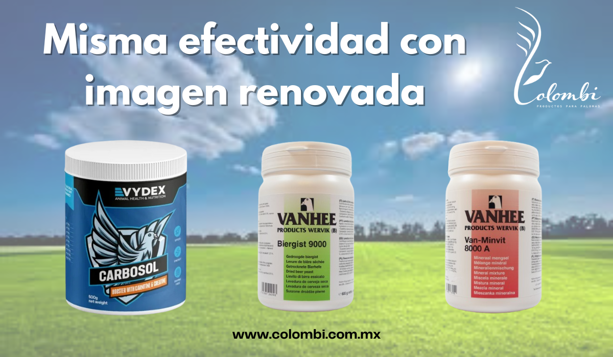 Banners Home Colombi