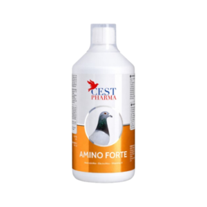 CEST PHARMA AMINO FORTE 1 LT