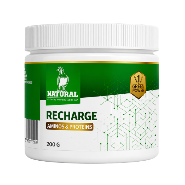 NATURAL GREEN POWER RECHARGE 200 GRS