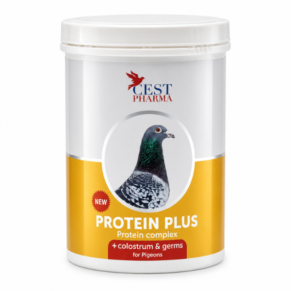 CEST PHARMA PROTEIN PLUS 600 GR