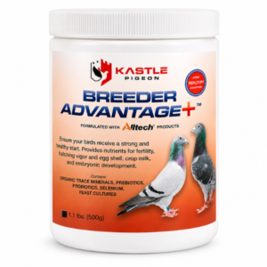 KASTLE BREEDER ADVANTAGE+ 500 GRS