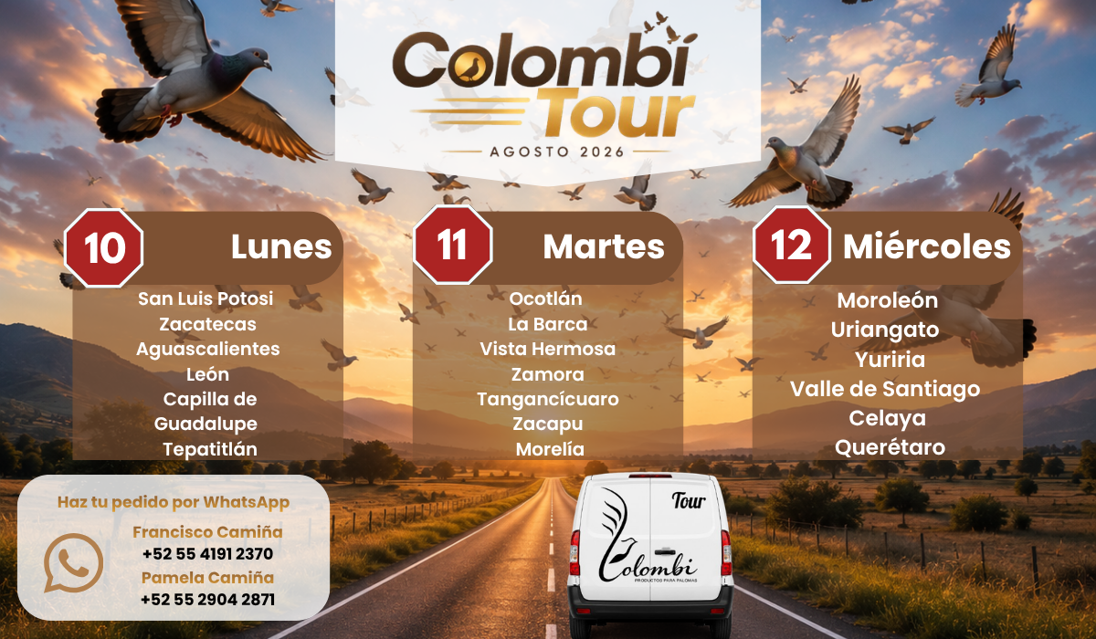 Colombi Tour Agosto 2026 banner