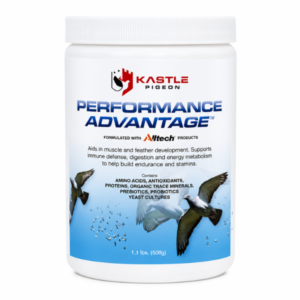 KASTLE PERFORMANCE ADVANTAGE 500 GR