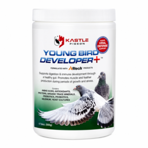 KASTLE YOUNG BIRD DEVELOPER+  500 GR