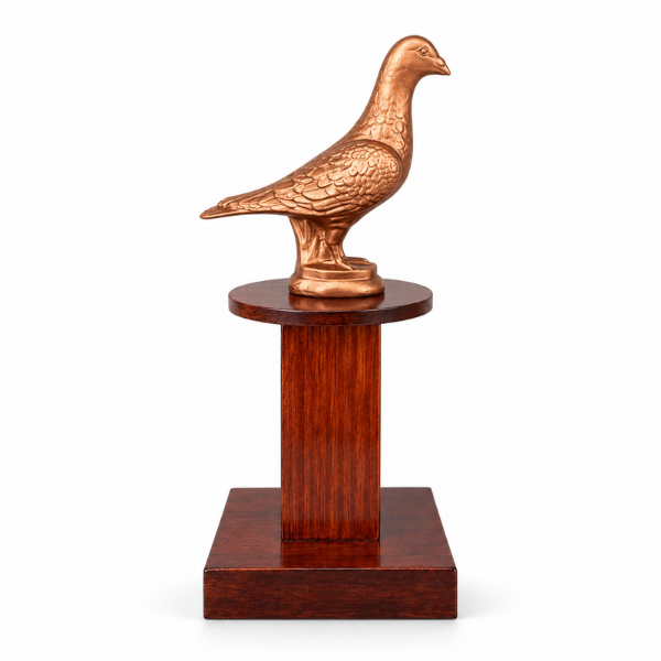 TROFEO DE PALOMA (CH) - Imagen 4